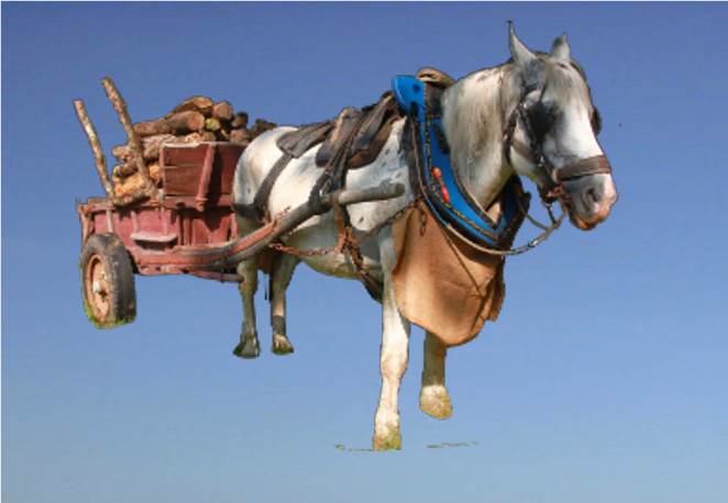 Les vacances à la ferme 1957 - 1963